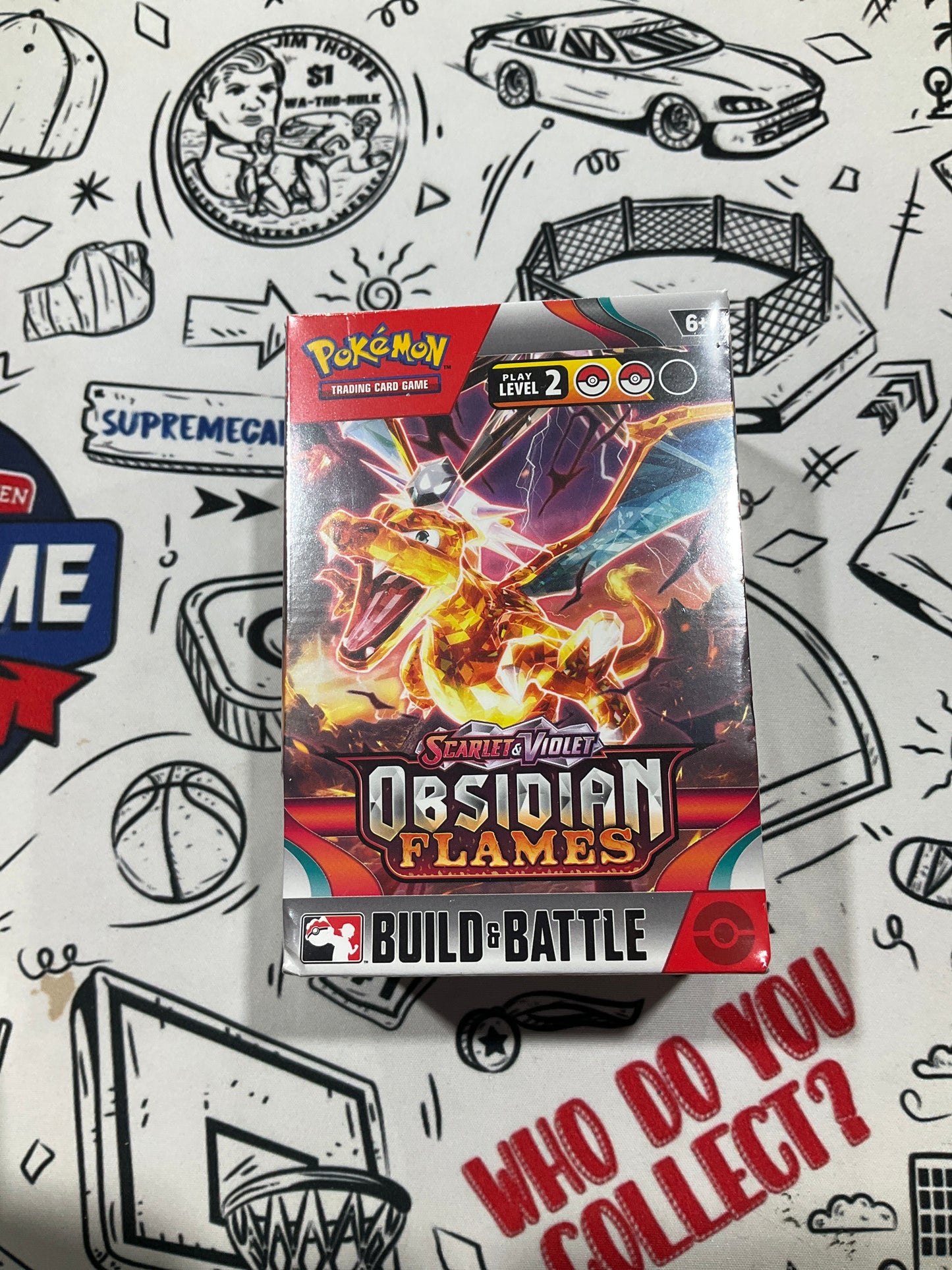 Pokemon Obsidian Flames Build and Battle